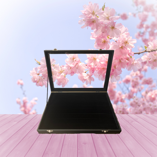 Ring Display Case - Black