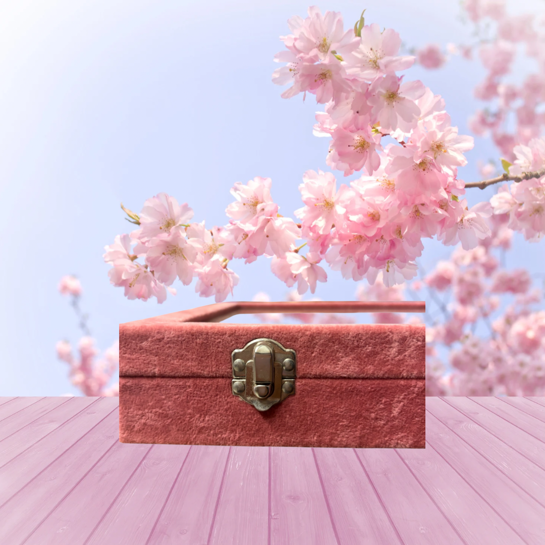 Earring Display Case - Pink