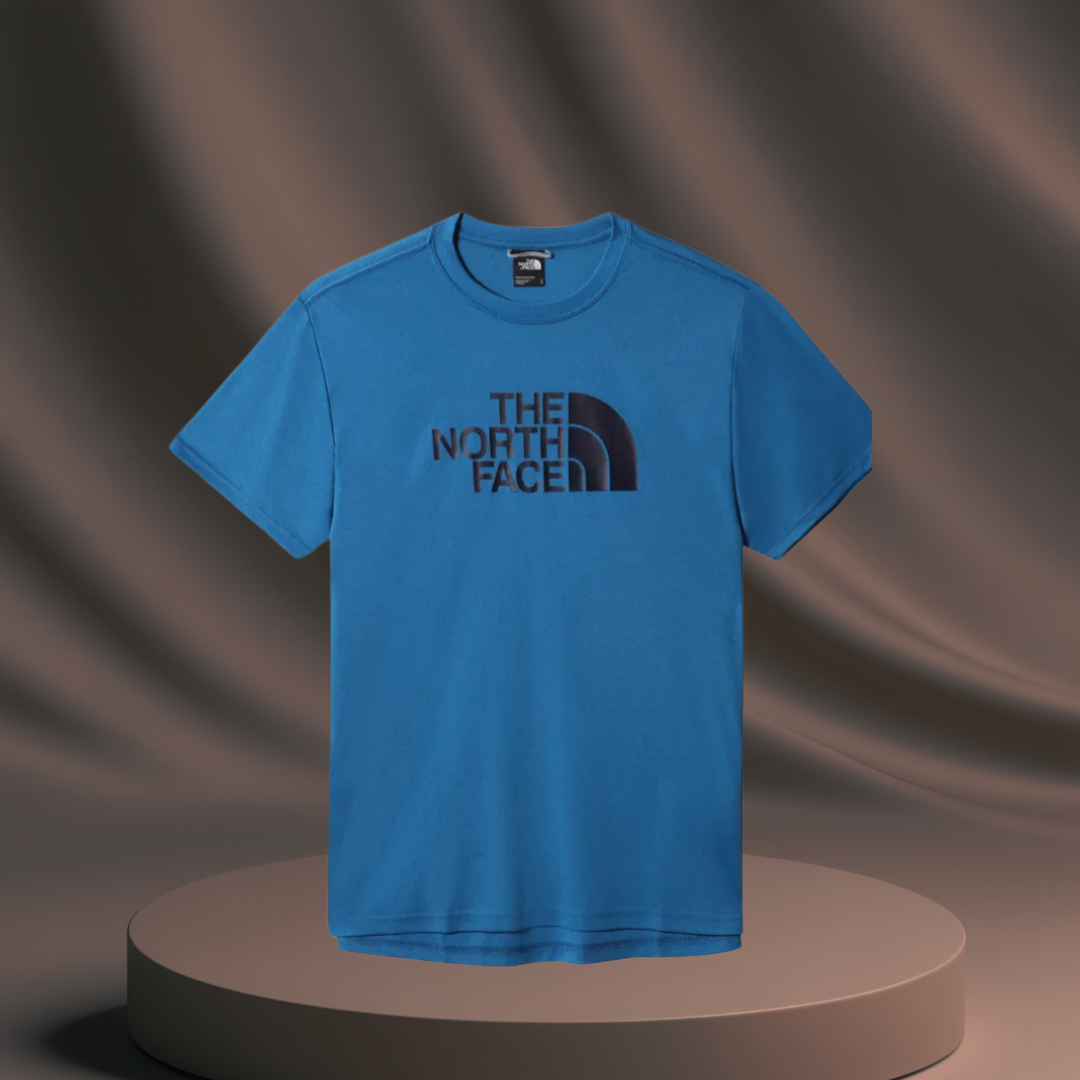 Men's Blue Northface T-Shirt