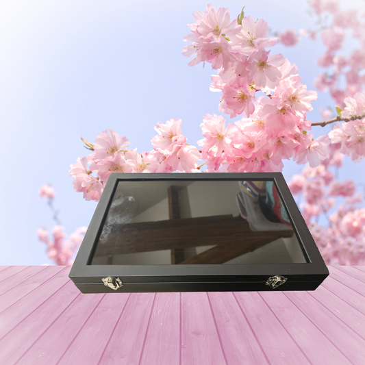 Ring Display Case - Black